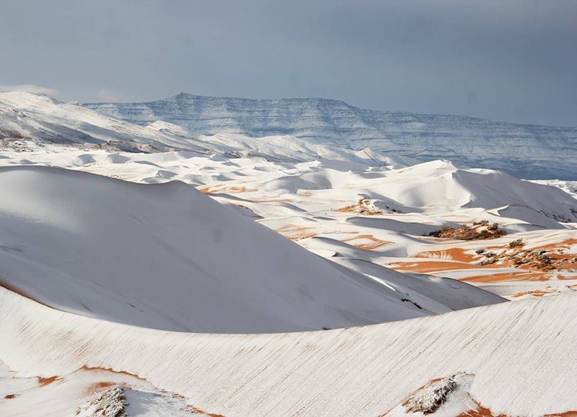 Nieve cubre el desierto más cálido del mundo por tercera vez en los últimos 40 años