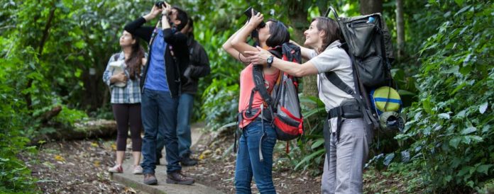 Visita de turistas a Guatemala crece 11 por ciento en 2017