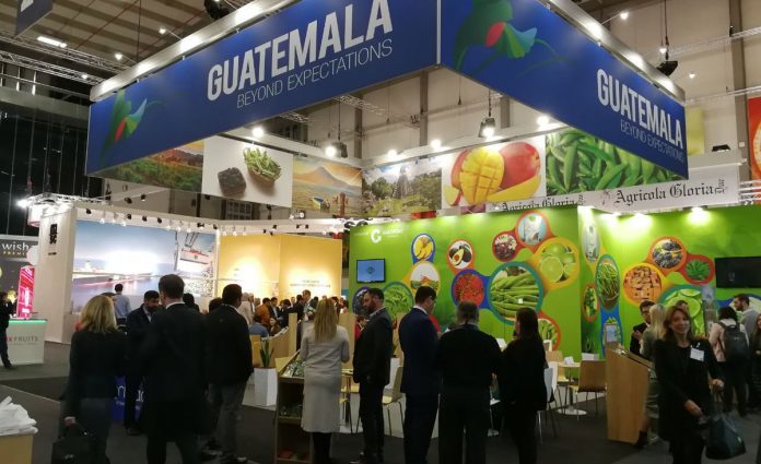 Guatemala promociona vegetales y frutas en la mayor feria agrícola de Europa