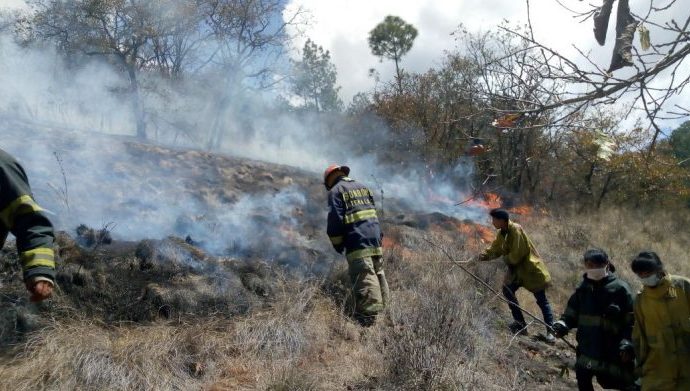 Gobierno de Guatemala ha combatido 158 incendios forestales en el país