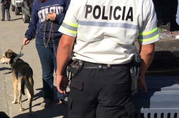 Policía Nacional Civil rescata 10 perros y una tortuga que sufrían maltratos