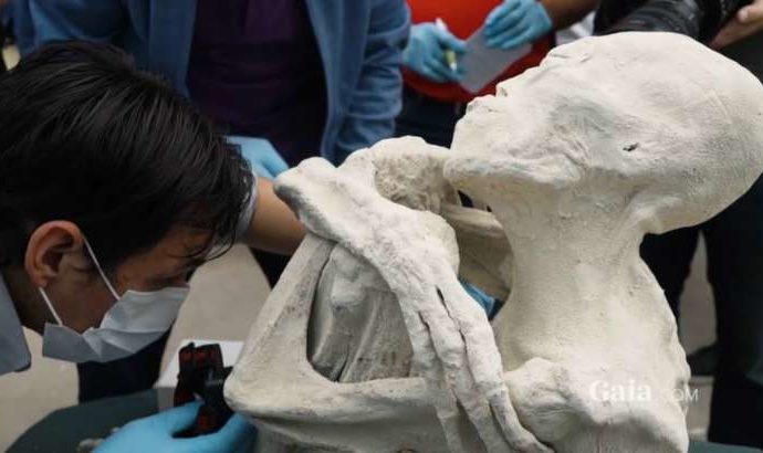 María, la polémica momia humanoide con tres dedos hallada cerca a las líneas de Nazca en Perú