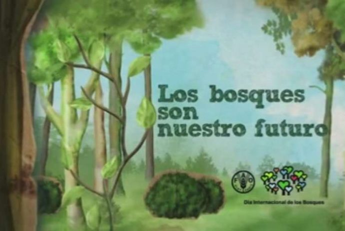 Celebra la FAO el Día Internacional de los Bosques