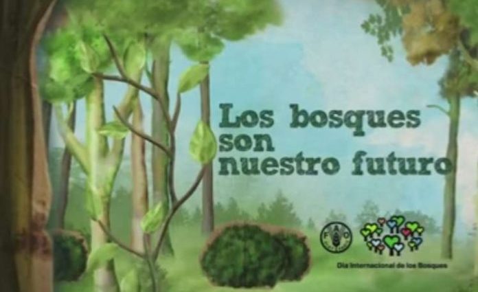 Celebra la FAO el Día Internacional de los Bosques