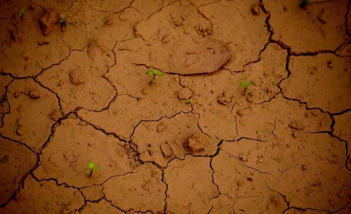 Gobierno construirá centro para capacitar sobre cultivos en zonas secas, con expertos de Israel