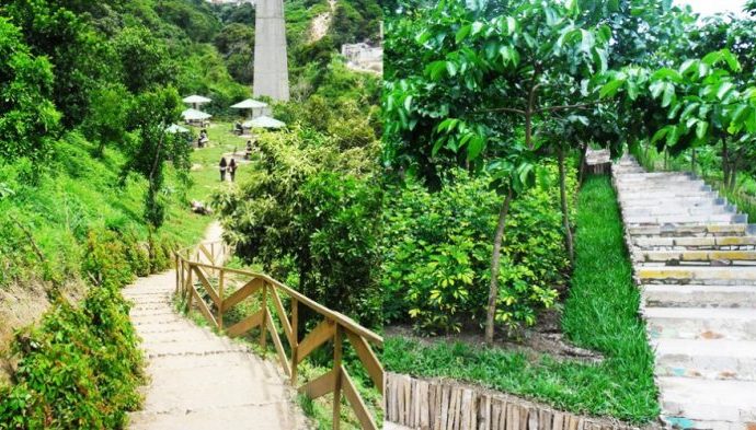 La Ciudad de Guatemala será la Capital Verde 2019 a nivel Iberoamericano