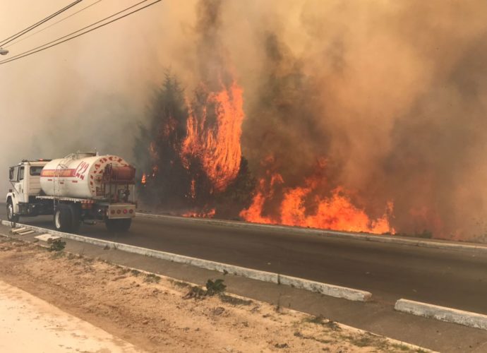 Incendio Forestal de grandes proporciones se registró en el Bulevar El Naranjo