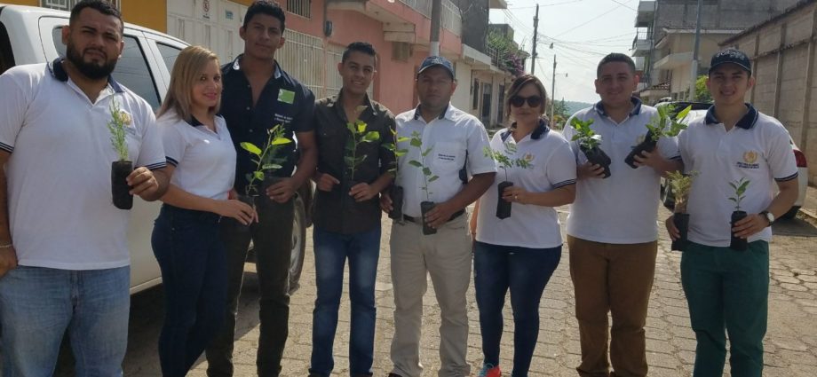 Instituciones ambientales plantan 100 nuevos arboles en Jutiapa