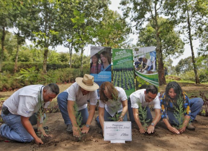 Primera Dama Patricia de Morales lanza programa “Sembremos un árbol”