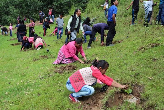 Bonn Challenge: En 20 años Guatemala a invertido U0 millones en la restauración de masa boscosa