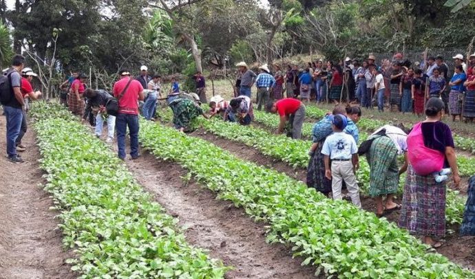 Gobierno de Guatemala destinó Q 2.373,4 millones en desarrollo comunitario y saneamiento de agua