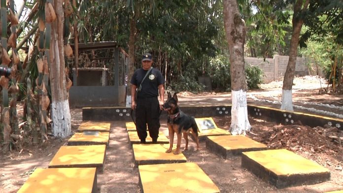 Agentes caninos descansan en paz, luego de ardua labor policial
