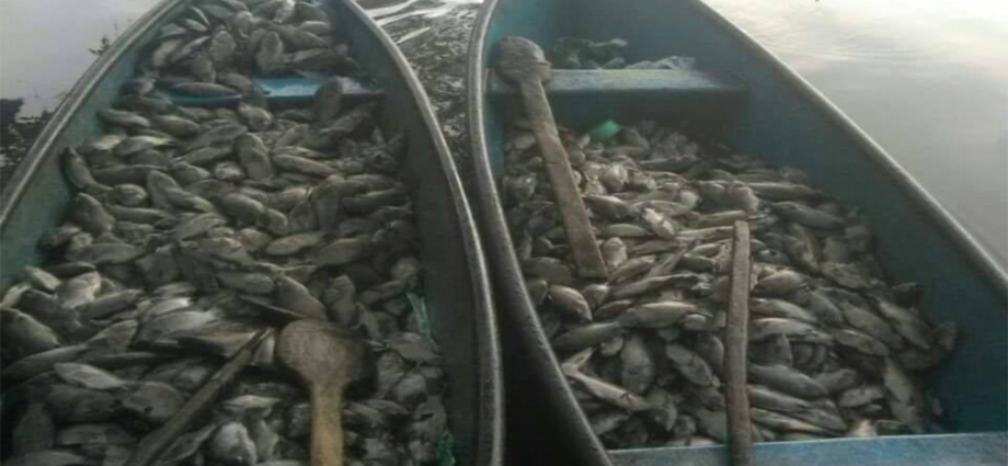 Ministerio de Salud recomienda no consumir peces de laguna de aldea Mangales, Retalhuleu