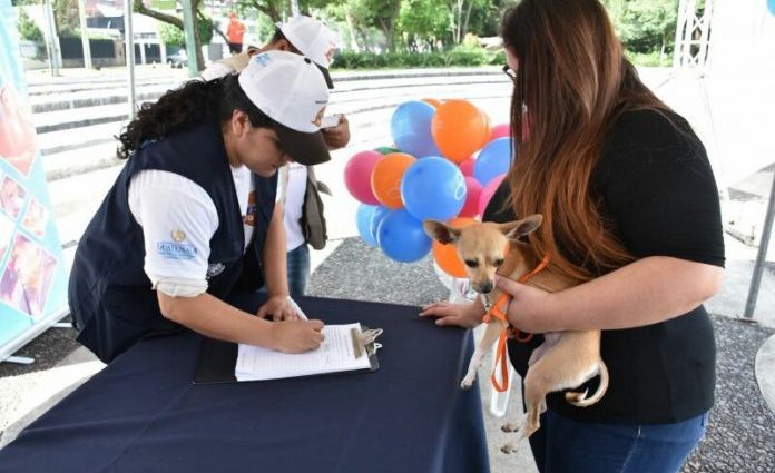 Inauguran campaña de vacunación antirrábica para más de dos millones de mascotas