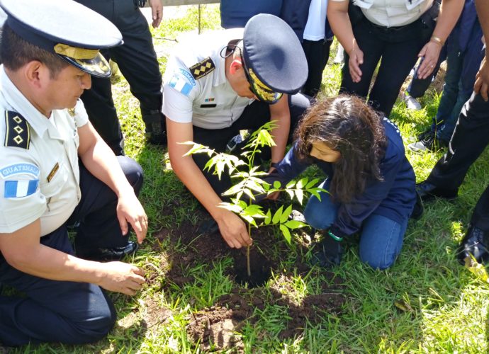 PNC, INAB y estudiantes se unen para ejecutar proyecto: “Siembro árboles como regalo a mi país”