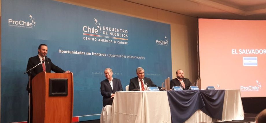 Encuentro de negocios realizado por “Pro de Chile” en Guatemala busca fortalecer relaciones con Centroamérica y el Caribe