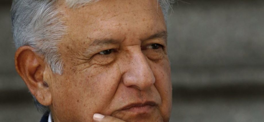 López Obrador plantea reforestar para crear empleos