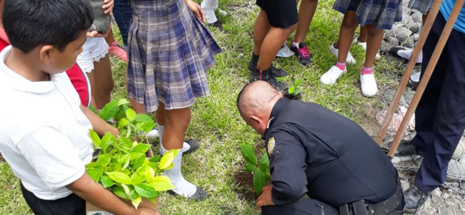 PNC junto a estudiantes realizan campaña “Siembro árboles como regalo a mi país”