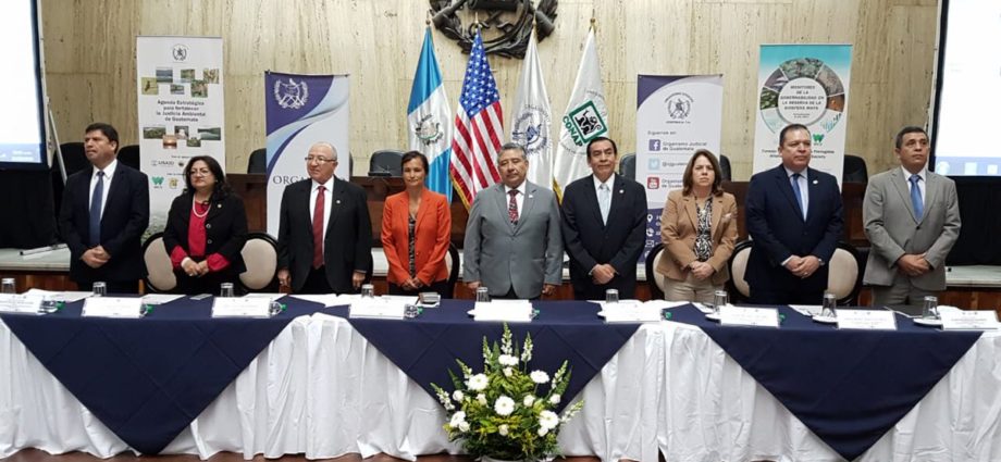 El Organismo Judicial firmó declaración de cooperación para fortalecer la justicia ambiental