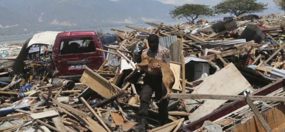Indonesia: empieza a llegar ayuda a zona afectada por sismo