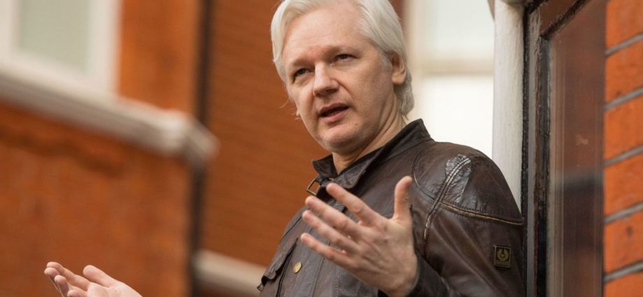 La defensa de Assange planteará una acción de protección ante la justicia ecuatoriana