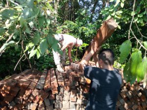 Decomisan 12 metros cúbicos de madera aserrada de la especie chico zapote