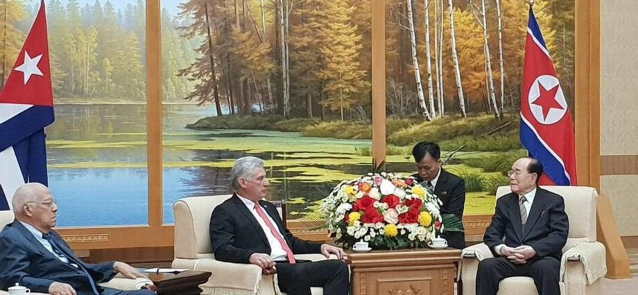 Kim se reúne con Díaz-Canel por segunda vez durante su visita a Pyonyang