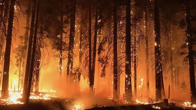 993 personas desaparecidas por incendio de California