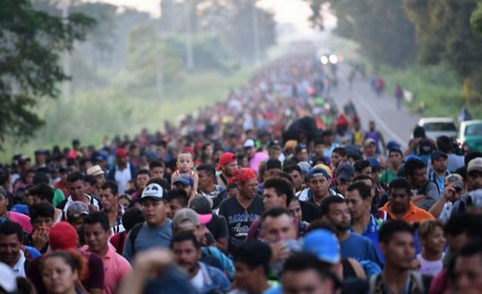 Al menos ocho mil migrantes transitan por México rumbo a EE.UU.