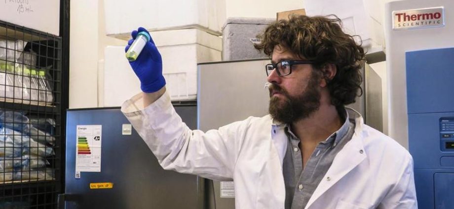 Científico chileno crea piel fotosintética que podrá regenerar tejido humano
