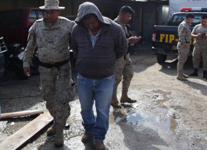 Primer capturado transportando ramillas de pinabete ilegalmente