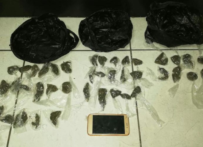 PNC realiza la captura de cinco personas con marihuana