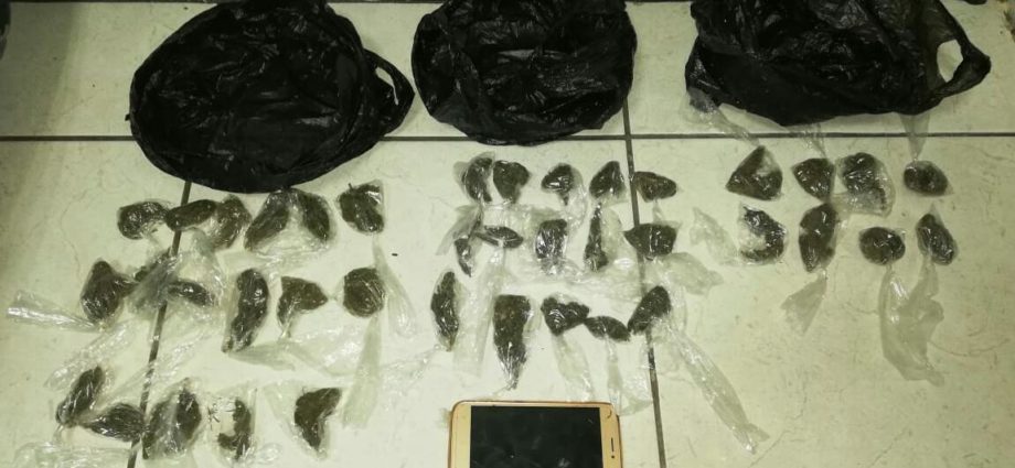 PNC realiza la captura de cinco personas con marihuana
