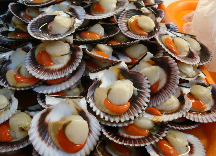 Ministerio de Salud advierte sobre peligro de consumir moluscos en Guatemala