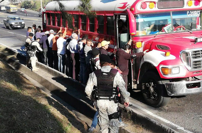 Agentes de protección a la naturaleza continúan con operativos para evitar el traslado y comercialización de pinabetes