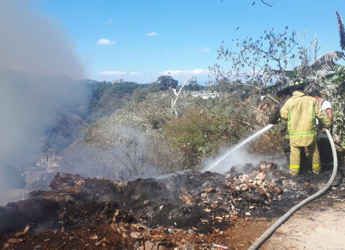 Se registró incendio forestal dentro del Cementerio General