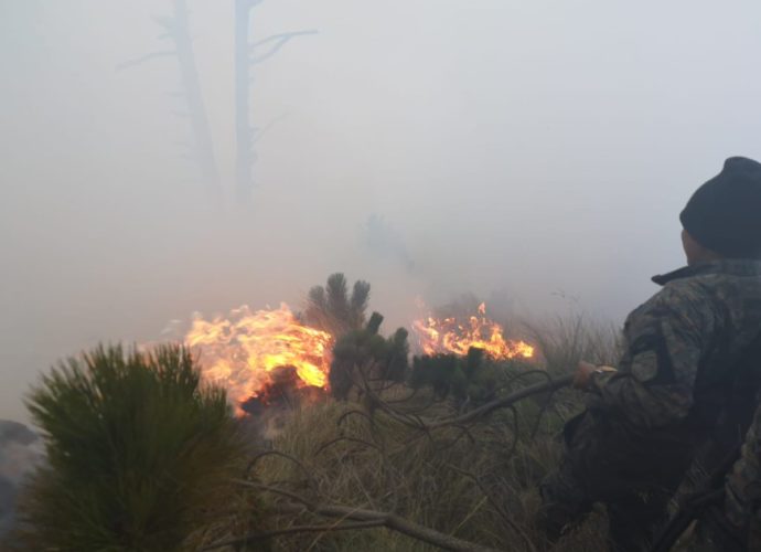 Conred ha reportado en la actual temporada 27 incendios forestales y 36 no forestales