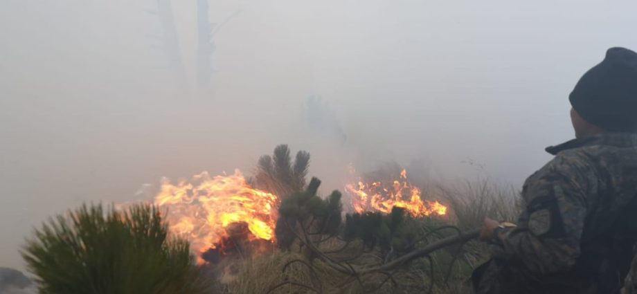 Conred ha reportado en la actual temporada 27 incendios forestales y 36 no forestales