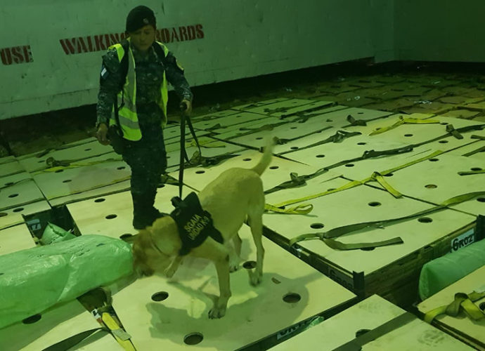 Localizan paquetes de cocaína dentro de cajas de banano en Escuintla