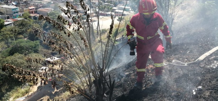Al menos 7 incendios forestales se registraron en las últimas 24 horas