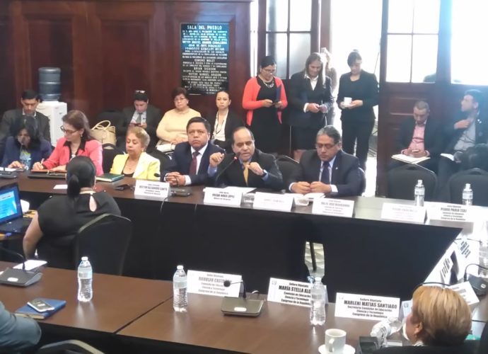 MINEDUC planea realizar Consulta Educativa en el 2019