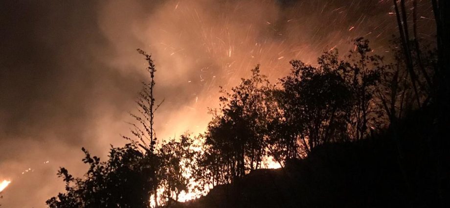 Al menos 12 incendios forestales amenazan el territorio nacional