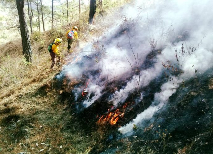 Incendios forestales consumen 3 mil 37 hectáreas de bosques