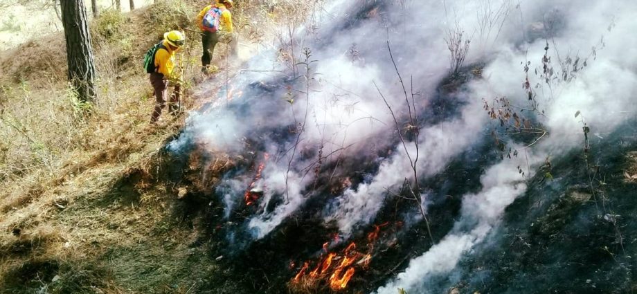 Incendios forestales consumen 3 mil 37 hectáreas de bosques