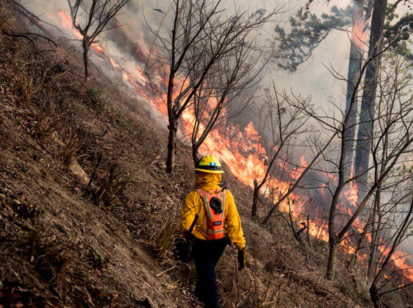 Continúa control y liquidación de diez incendios forestales