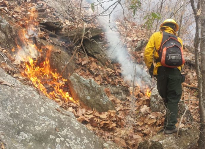 Continúa la alerta roja municipal en San Andrés, Petén por incendios forestales