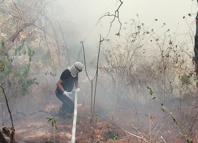 Bomberos laboran en incendio forestal en El Encinal zona 7 de Mixco