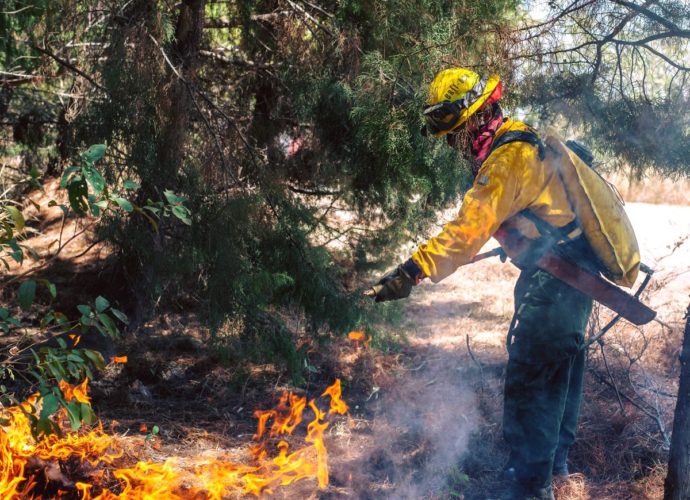 Personeros del INAB afirman que la mayoría de los incendios forestales 2018-2019 han sido provocados por el ser humano