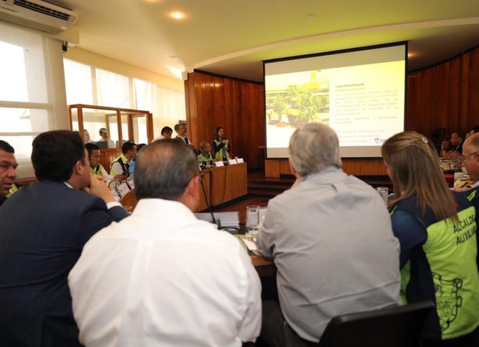 Municipalidad de Guatemala anuncia proyecto para reforestar 56 mil árboles