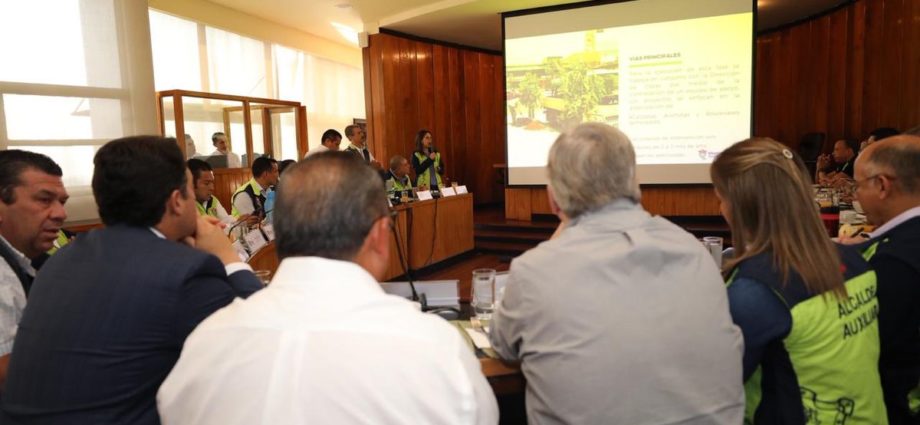 Municipalidad de Guatemala anuncia proyecto para reforestar 56 mil árboles